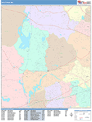 Waltham Wall Map