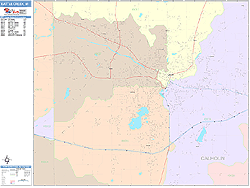 Battle Creek Wall Map