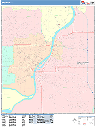 Saginaw Wall Map
