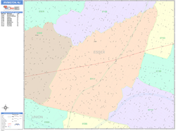 Irvington Wall Map