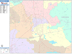 Longview Wall Map