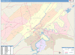 Etowah County, AL Wall Map