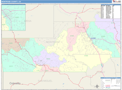Montrose County, CO Wall Map
