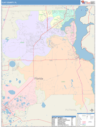 Clay County, FL Wall Map