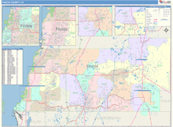 Pasco County, FL Wall Map