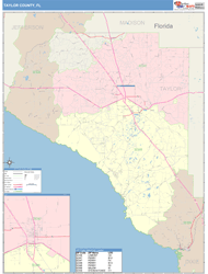 Taylor County, FL Wall Map