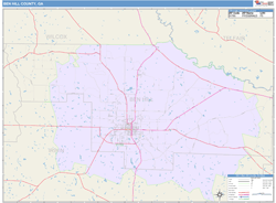 Ben Hill County, GA Wall Map