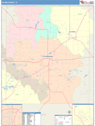 Saline County, IL Wall Map