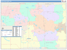 Montcalm County, MI Wall Map