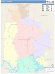 Morgan County, MO Wall Map