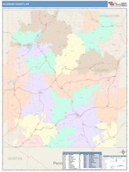 Allegany County, NY Wall Map