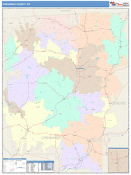 Chenango County, NY Wall Map