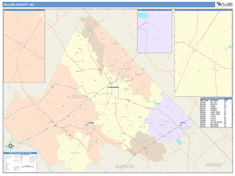 Dillon County, SC Wall Map