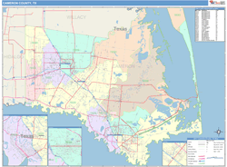 Cameron County, TX Wall Map