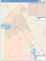 Live Oak County, TX Wall Map