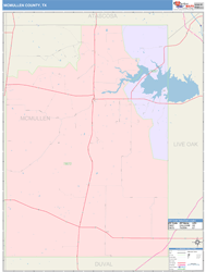 McMullen County, TX Wall Map