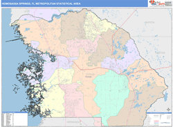 Homosassa Springs Metro Area Wall Map