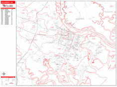 Savannah Wall Map