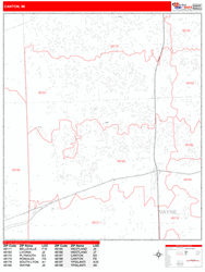 Canton Zip Code Wall Map