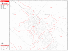 Bryan Wall Map