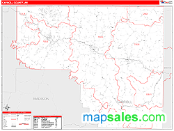 Carroll County, AR Zip Code Wall Map