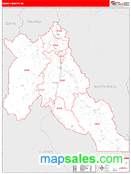 Lemhi County, ID Zip Code Wall Map