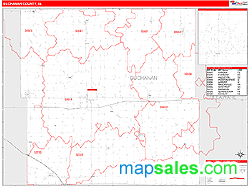 Buchanan County, IA Zip Code Wall Map