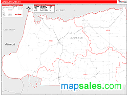 Carlisle County, KY Zip Code Wall Map