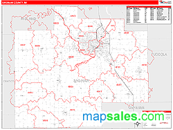 Saginaw County, MI Wall Map