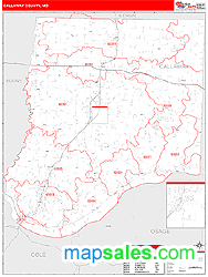 Callaway County, MO Zip Code Wall Map