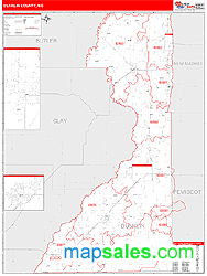 Dunklin County, MO Zip Code Wall Map
