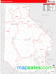 Morgan County, MO Wall Map