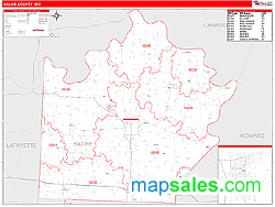 Saline County, MO Zip Code Wall Map