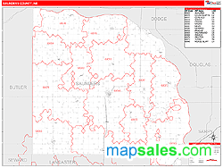 Saunders County, NE Wall Map