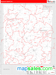 Allegany County, NY Zip Code Wall Map
