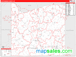 Cattaraugus County, NY Zip Code Wall Map