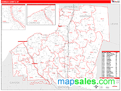 Oswego County, NY Zip Code Wall Map