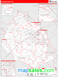 Lexington County, SC Wall Map