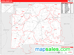 Carroll County, TN Zip Code Wall Map