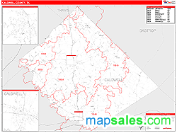 Caldwell County, TX Zip Code Wall Map