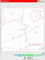 Carson County, TX Wall Map