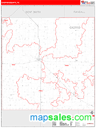 Castro County, TX Wall Map