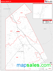 Live Oak County, TX Wall Map