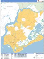 Mount Pleasant Wall Map Zip Code