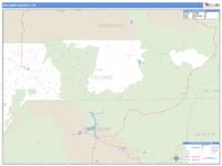 Dolores County, CO Wall Map