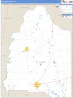 Gilchrist County, FL Wall Map