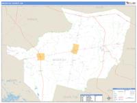 Brantley County, GA Wall Map Zip Code