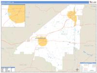 Peach County, GA Wall Map Zip Code