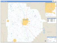Tift County, GA Wall Map Zip Code
