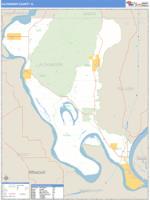 Alexander County, IL Wall Map Zip Code